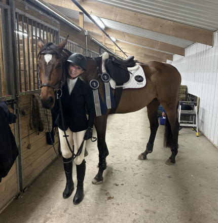HorseID: 2314951 SWAYDE - PhotoID: 1100815