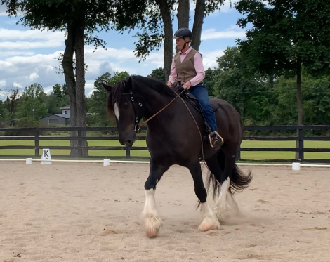 HorseID: 2314954 Big Sky Tuff's Winston - PhotoID: 1100830