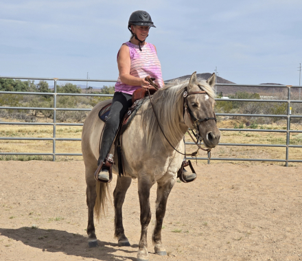 HorseID: 2314956 Dolly's Spanish Sunrise - PhotoID: 1100836