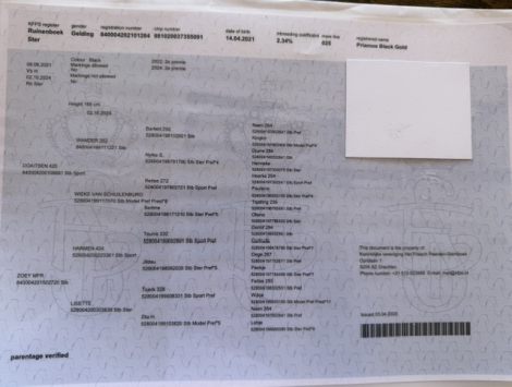 HorseID: 2314957 Priamos Black Gold - PhotoID: 1100845
