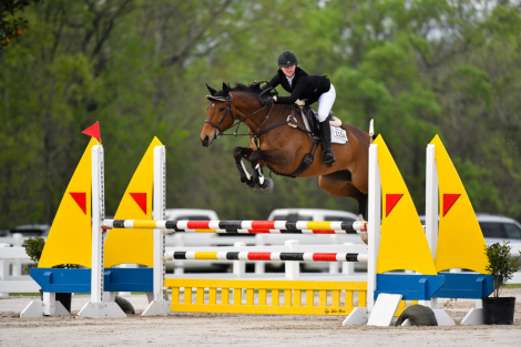 HorseID: 2314960 Stormy - PhotoID: 1100840