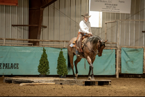 HorseID: 2314985 Tuff N Buzzin - PhotoID: 1100866