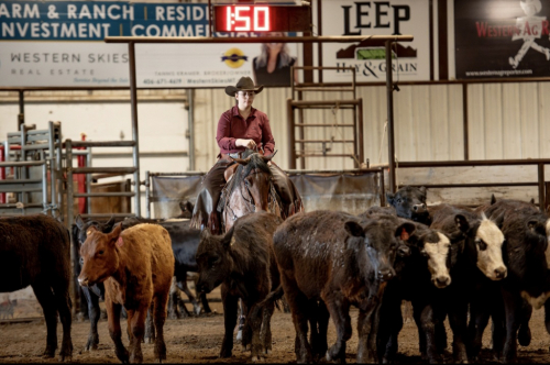 HorseID: 2314985 Tuff N Buzzin - PhotoID: 1100867