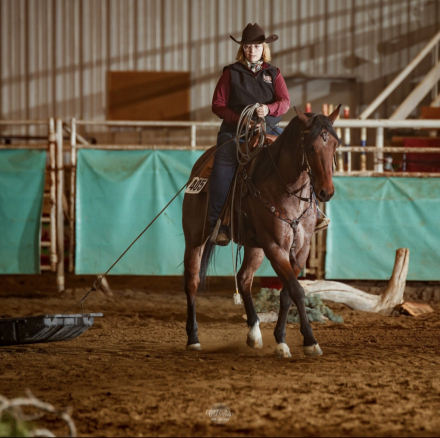 HorseID: 2314985 Tuff N Buzzin - PhotoID: 1100868