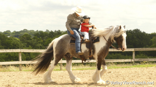 HorseID: 2315012 Prince Of Thunder Loki - PhotoID: 1100892