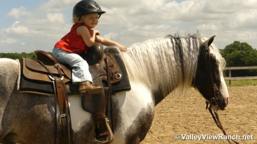 HorseID: 2315012 Prince Of Thunder Loki - PhotoID: 1100896