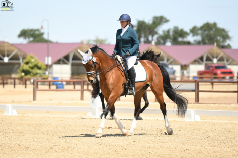 HorseID: 2315031 Bella Suprense - PhotoID: 1100961