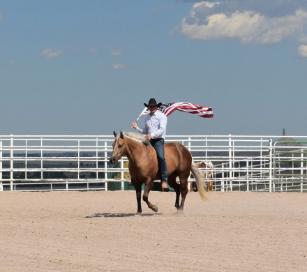 HorseID: 2315080 WIMPY TUFF BID - PhotoID: 1100984