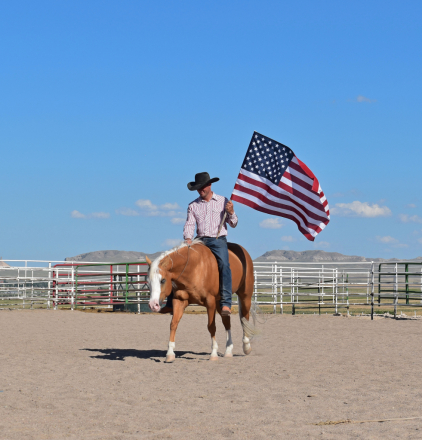 HorseID: 2315084 THE MOBSTER DUN IT - PhotoID: 1100991