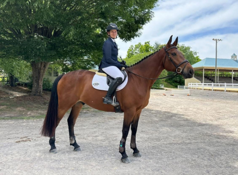 HorseID: 2315100 Tanyderi Liam - PhotoID: 1101006