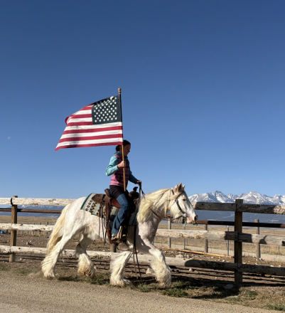 HorseID: 2315103 Rooster - PhotoID: 1101008