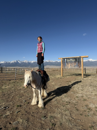 HorseID: 2315103 Rooster - PhotoID: 1101009