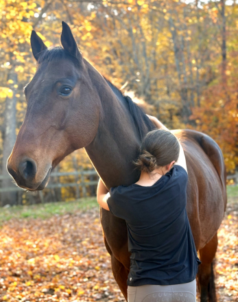 HorseID: 2315122 Gabe - PhotoID: 1101037