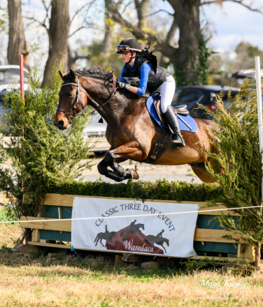 HorseID: 2315122 Gabe - PhotoID: 1101038