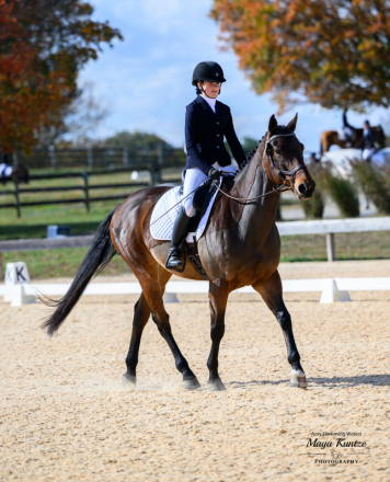 HorseID: 2315122 Gabe - PhotoID: 1101039