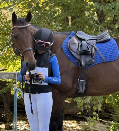 HorseID: 2315122 Gabe - PhotoID: 1101040