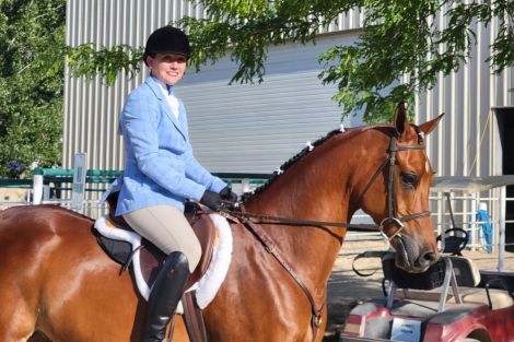 HorseID: 2315132 DA Cosmo - PhotoID: 1101046