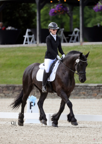 HorseID: 2315161 Henk Von de Sprong - PhotoID: 1101064