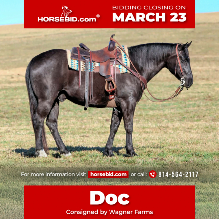 HorseID: 2246726 Doc - PhotoID: 1045893