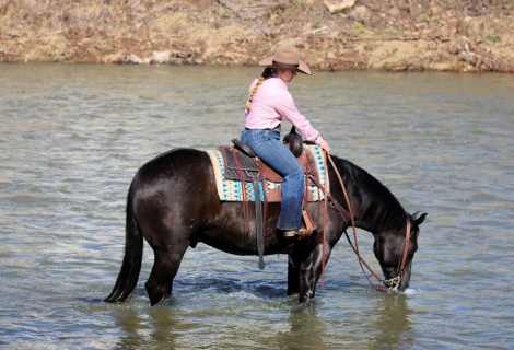 HorseID: 2246726 Doc - PhotoID: 1045895