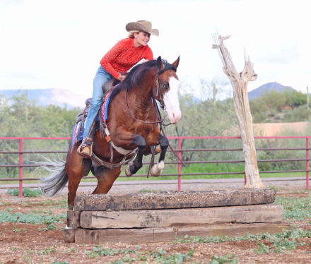 HorseID: 2246739 Maxxxed out - PhotoID: 1045907