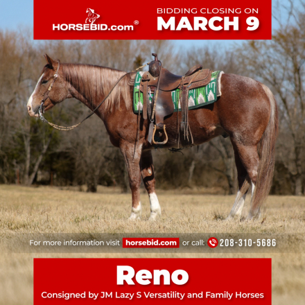 HorseID: 2246741 CM Flyin Rey - PhotoID: 1028746