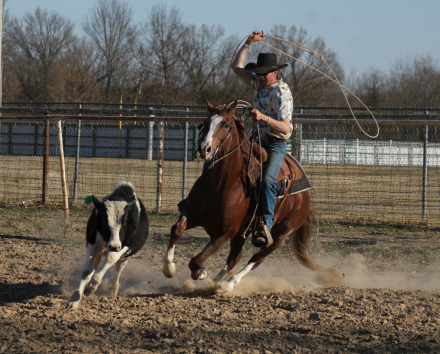 HorseID: 2246741 CM Flyin Rey - PhotoID: 1028749