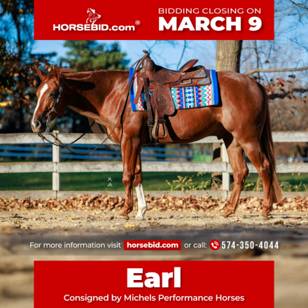 HorseID: 2247446 Platinum 007 - PhotoID: 1042233