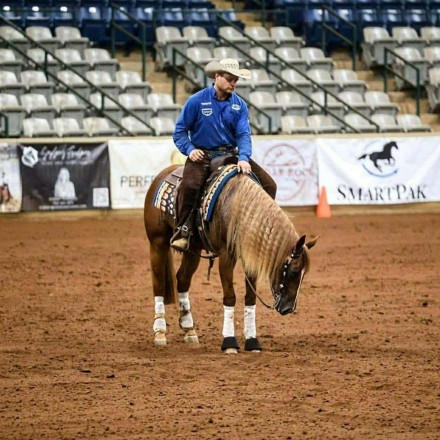 HorseID: 2247446 Platinum 007 - PhotoID: 1042234