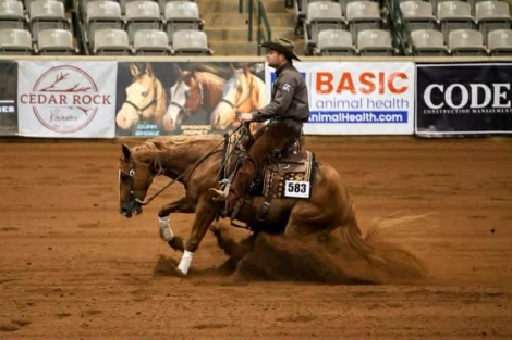 HorseID: 2247446 Platinum 007 - PhotoID: 1042236