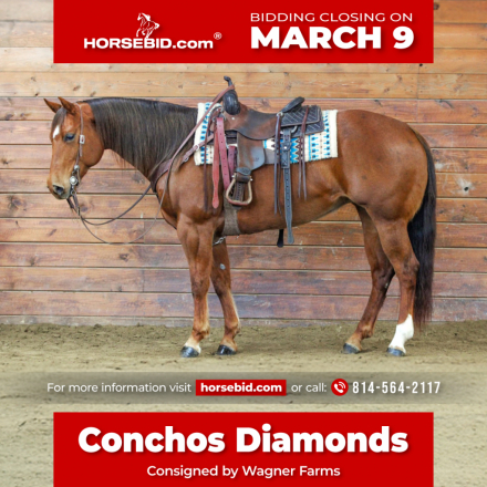 HorseID: 2247450 Conchos Diamonds - PhotoID: 1033506