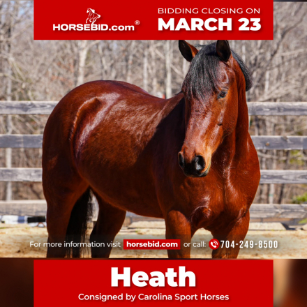 HorseID: 2247451 Heath - PhotoID: 1033502
