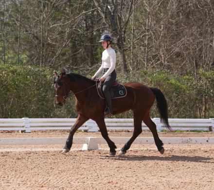 HorseID: 2247451 Heath - PhotoID: 1045926