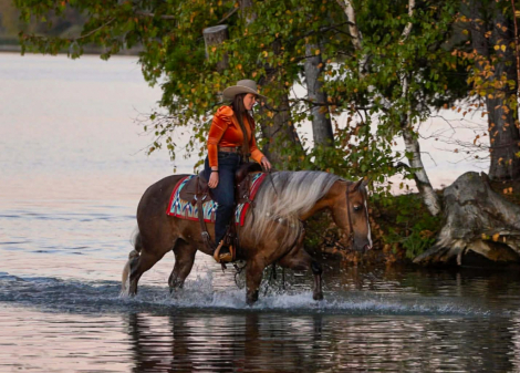 HorseID: 2247457 GUNNA GETYA CHEX - PhotoID: 1045875