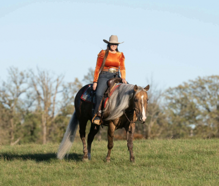 HorseID: 2247457 GUNNA GETYA CHEX - PhotoID: 1063944