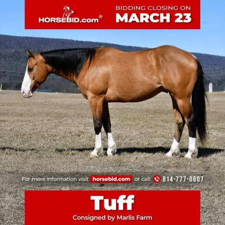 HorseID: 2249907 RJ Frosted Canman - PhotoID: 1045908