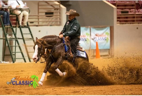 HorseID: 2249911 RR MAJOR GUNSLINGER - PhotoID: 1089899