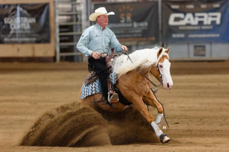 HorseID: 2253893 GUNS ON LINE - PhotoID: 1045917