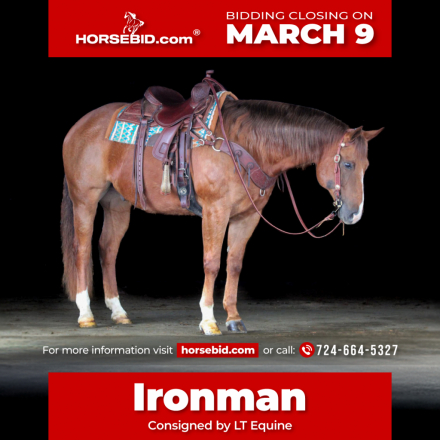 HorseID: 2261708 Iron Pine Bar - PhotoID: 1029641