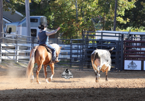 HorseID: 2262623 Gunners Whimpy Chex - PhotoID: 1036988