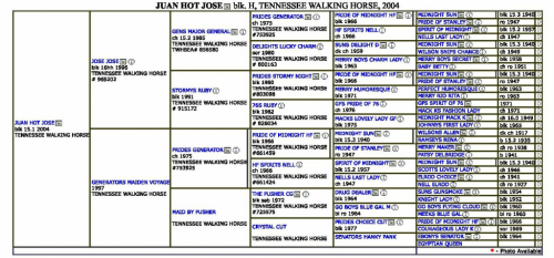 HorseID: 2268318 Juan Hot Jose' - PhotoID: 1038667