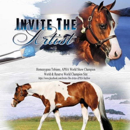 HorseID: 2268946 INVITATION TO BE LAZY - PhotoID: 1039522