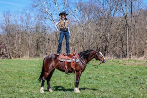 HorseID: 2269748 Annie Oakley HH - PhotoID: 1040589