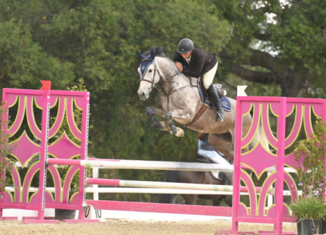 HorseID: 2273925 Jack Jack (JJ) - PhotoID: 1095338