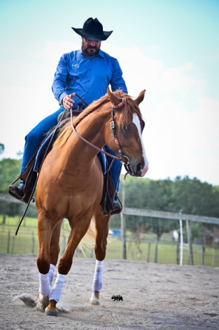 HorseID: 2275397 Kixstart My Heart - PhotoID: 1069072