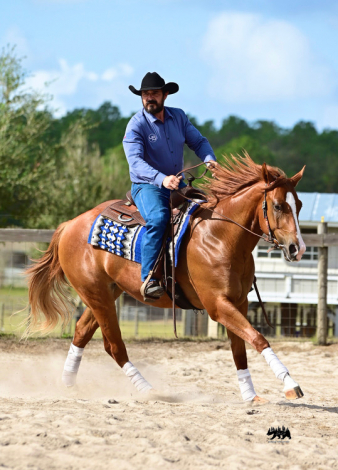 HorseID: 2275397 Kixstart My Heart - PhotoID: 1069075