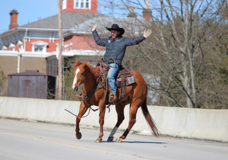 HorseID: 2275761 Elans Smoking Gun - PhotoID: 1070287