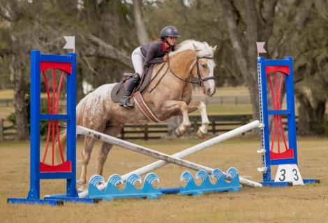 HorseID: 2280895 Ritz - PhotoID: 1062980