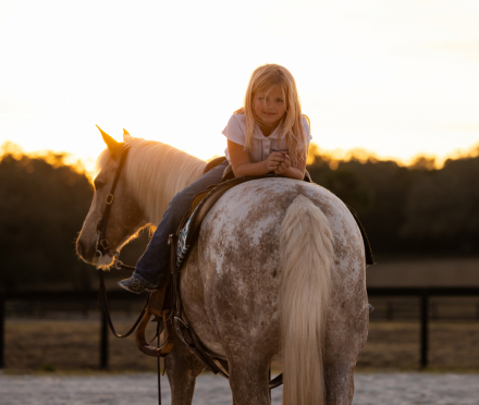 HorseID: 2280895 Ritz - PhotoID: 1062981