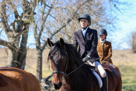 HorseID: 2280901 Huntsman - PhotoID: 1055707